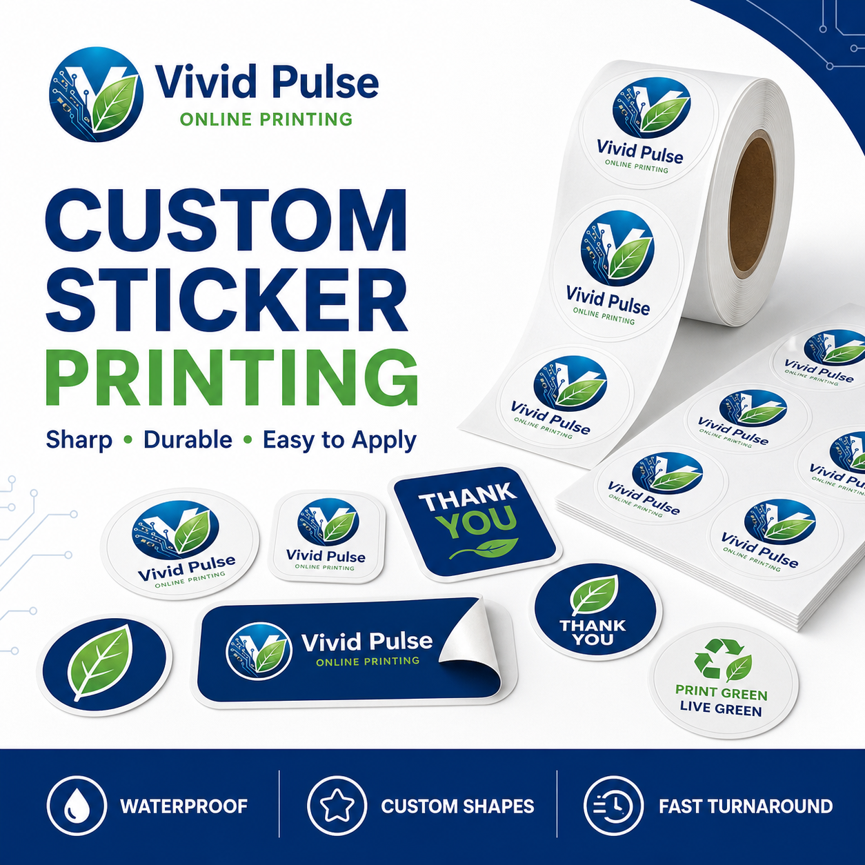 https://d3pyarv4eotqu4.cloudfront.net/allcardon/images/product/07-vivid-pulse-primary-image_09595521202607.png