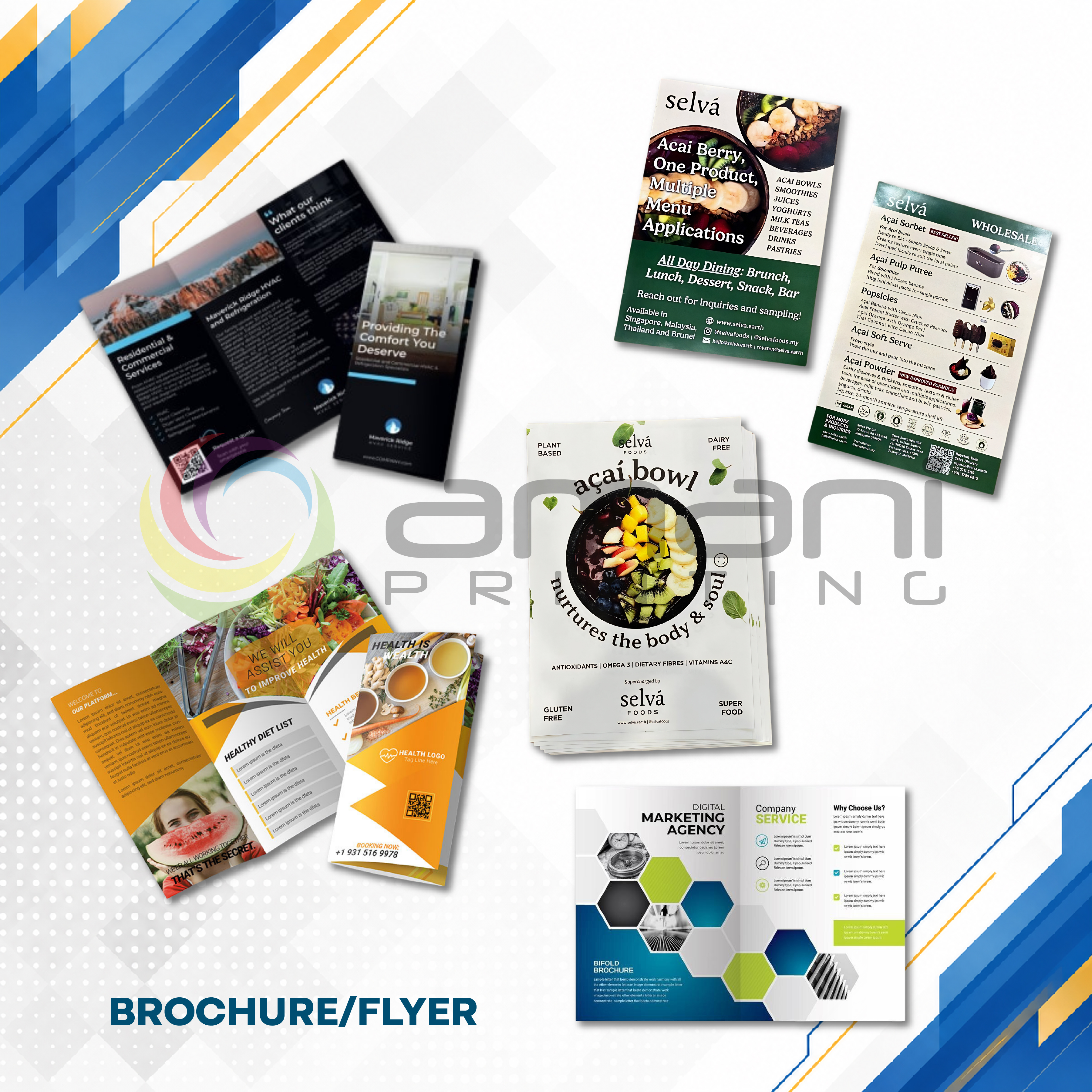 Brochure/Flyer