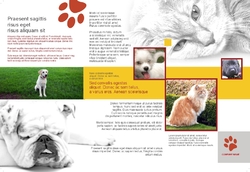 Brochure-22