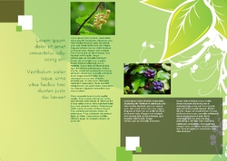 Brochure-2