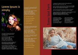 Brochure-11