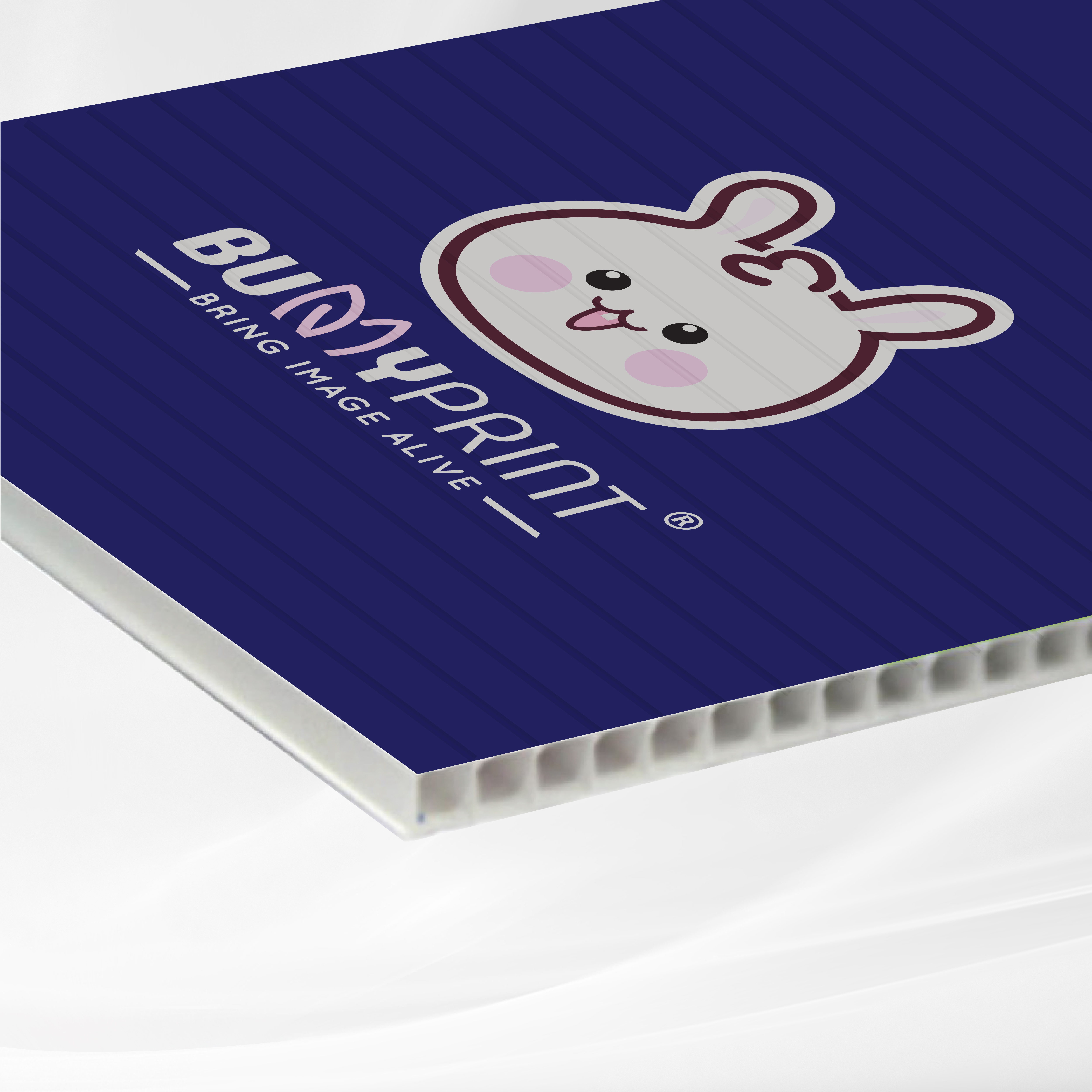 5mm PP Hollow Board with Printing