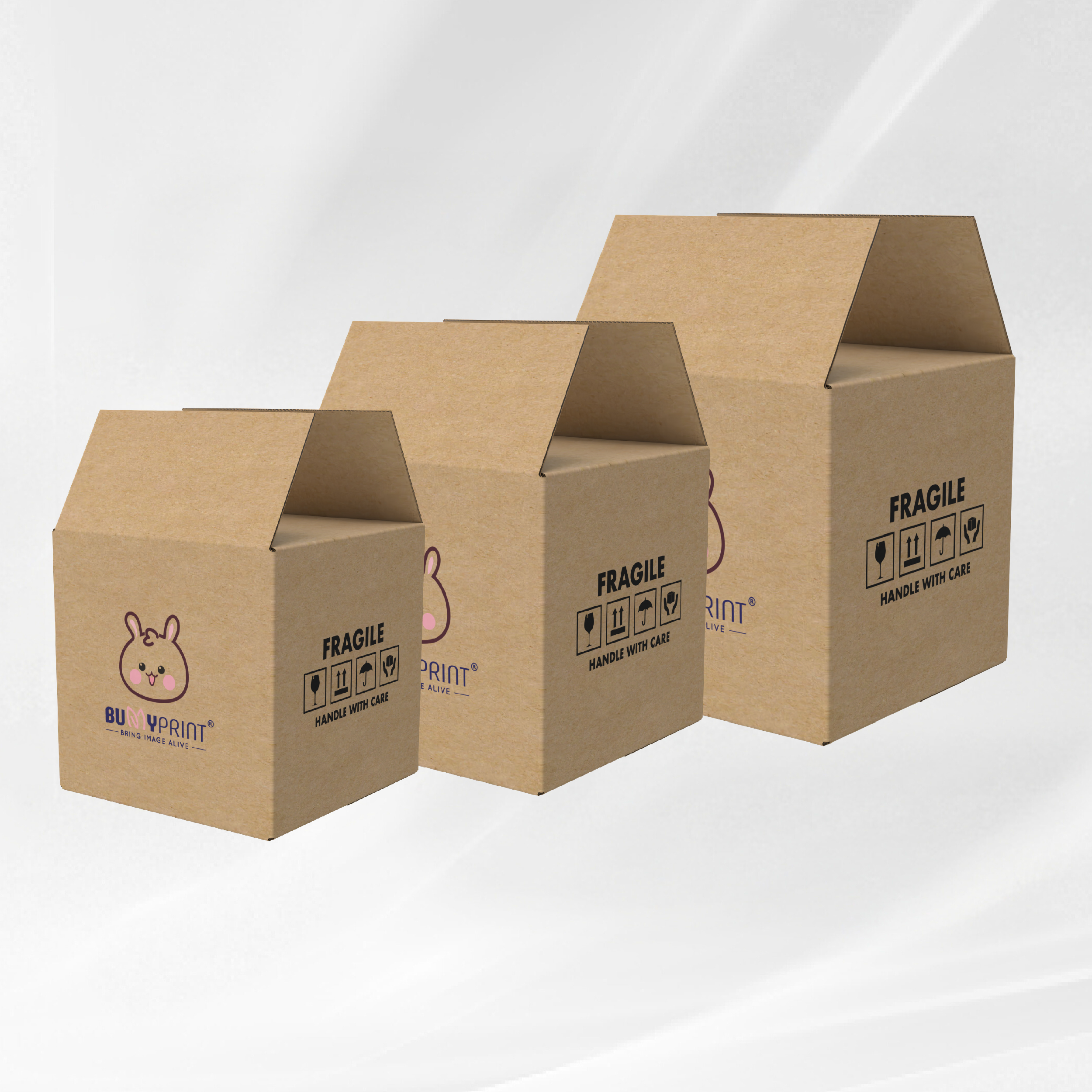 Carton Box