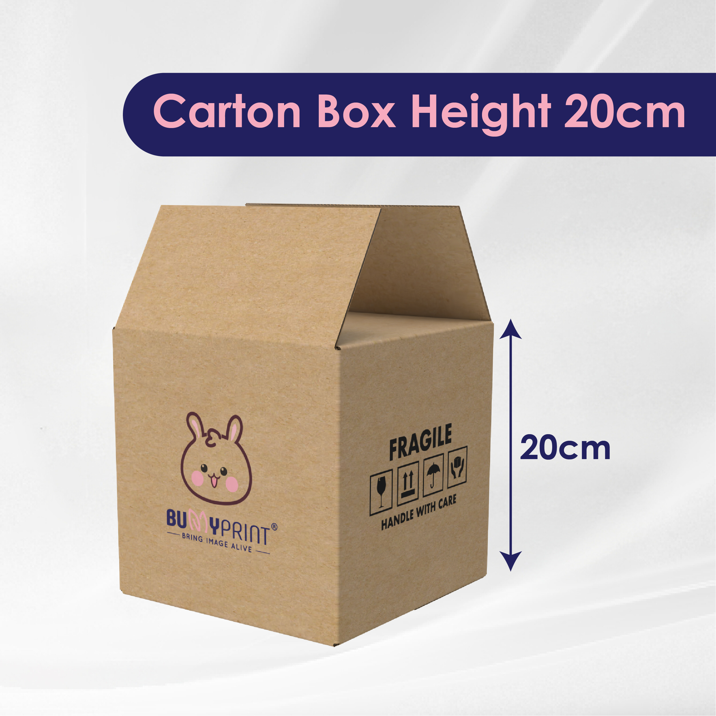 Regular Carton Box with Printing - 20cm Height