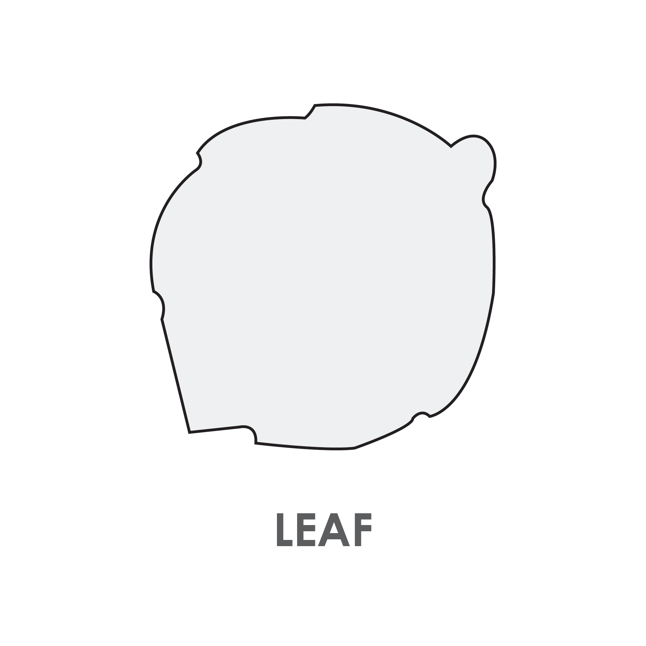 Leaf