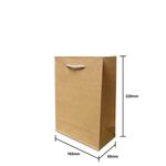 Rope Handle Paper Bag 2