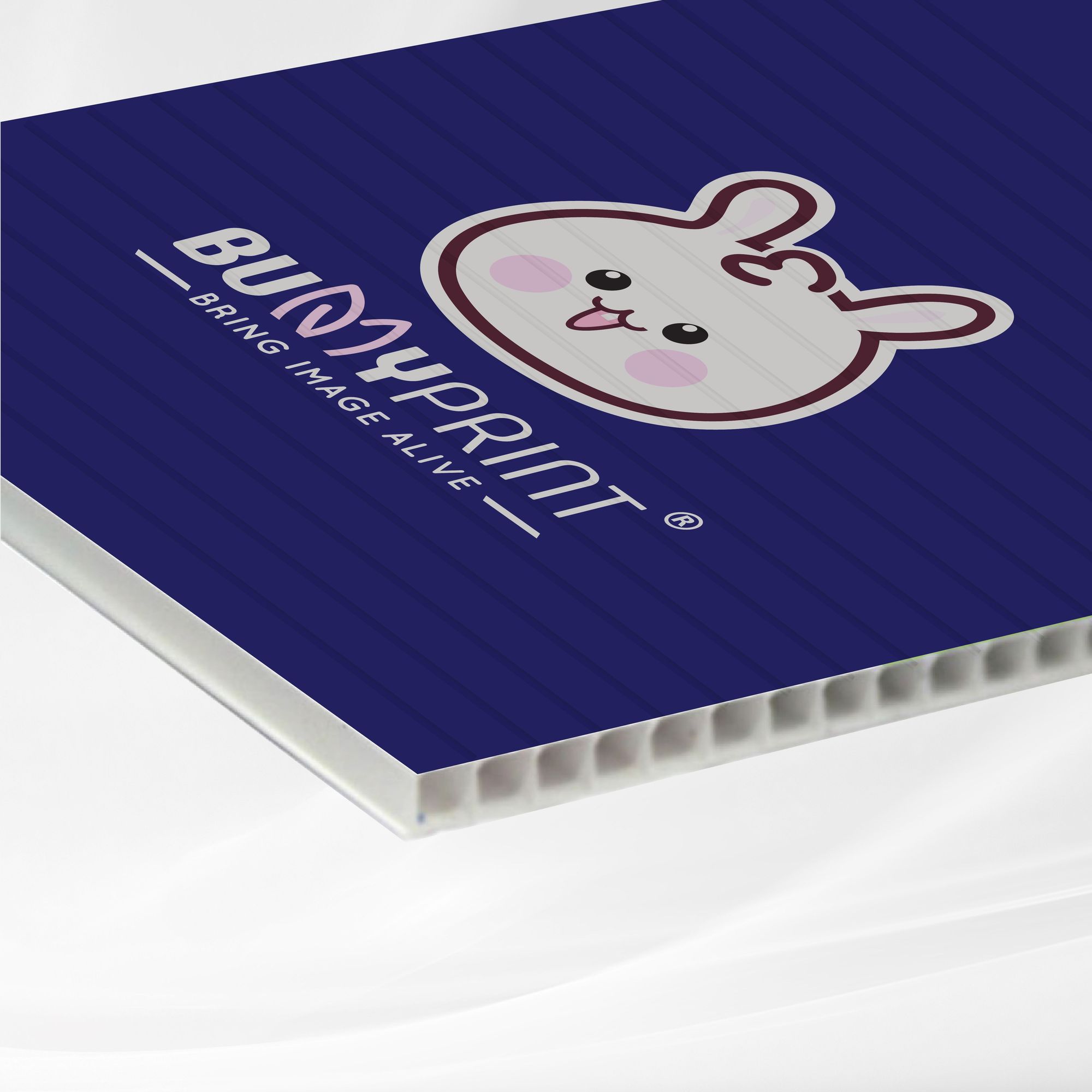 5mm PP Hollow Board with Printing 1