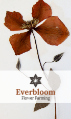 Herbarium
