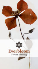 Herbarium