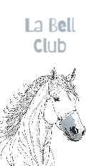 horse-and-cub-91