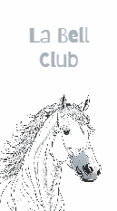 horse-and-cub-91