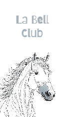 horse-and-cub-91