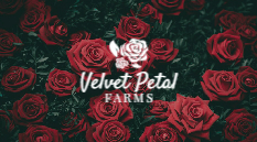flowers-shop-card-47