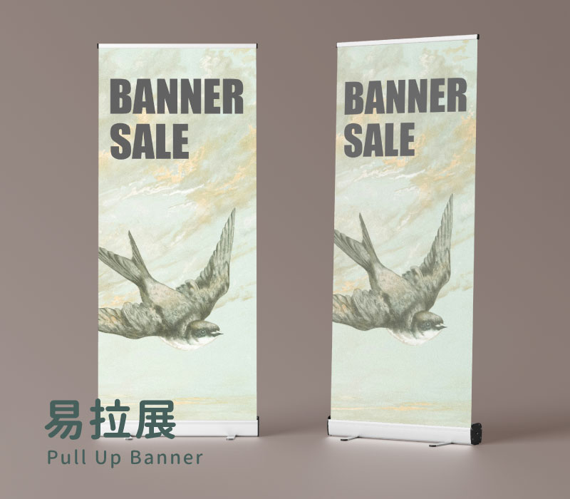 Pull Up Banner