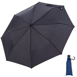 Umbrella - CD VX Compact