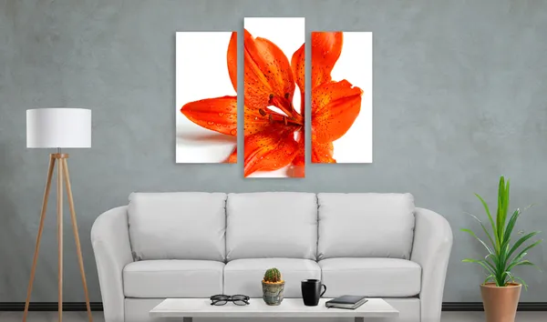 Collage Canvas Prints 4