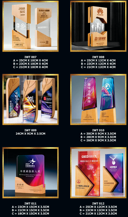 Exclusive Crystal Wooden Award 2