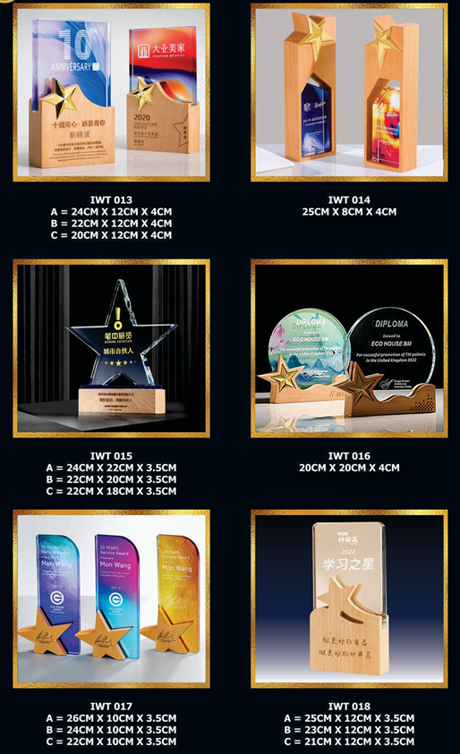 Exclusive Crystal Wooden Award 3