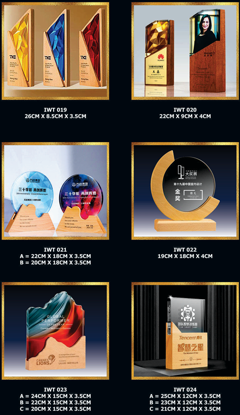 Exclusive Crystal Wooden Award 4