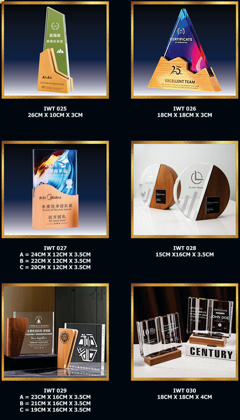 Exclusive Crystal Wooden Award 5