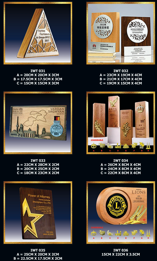 Exclusive Crystal Wooden Award 6