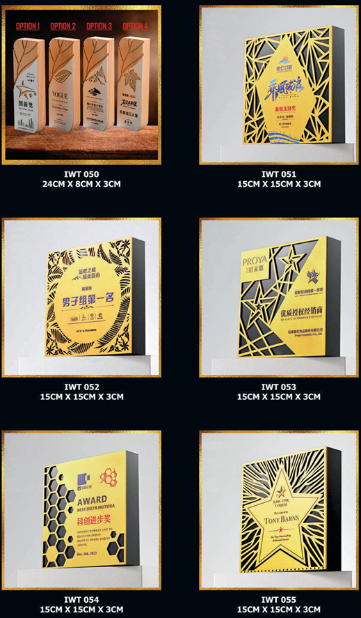 Exclusive Crystal Wooden Award 9