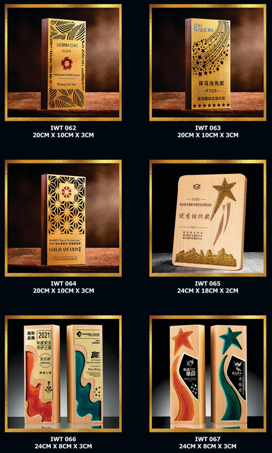 Exclusive Crystal Wooden Award 11