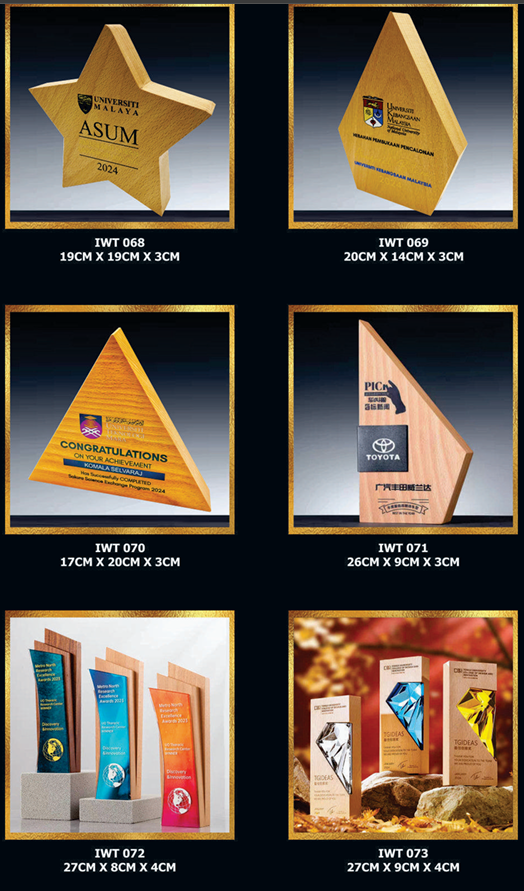 Exclusive Crystal Wooden Award 12