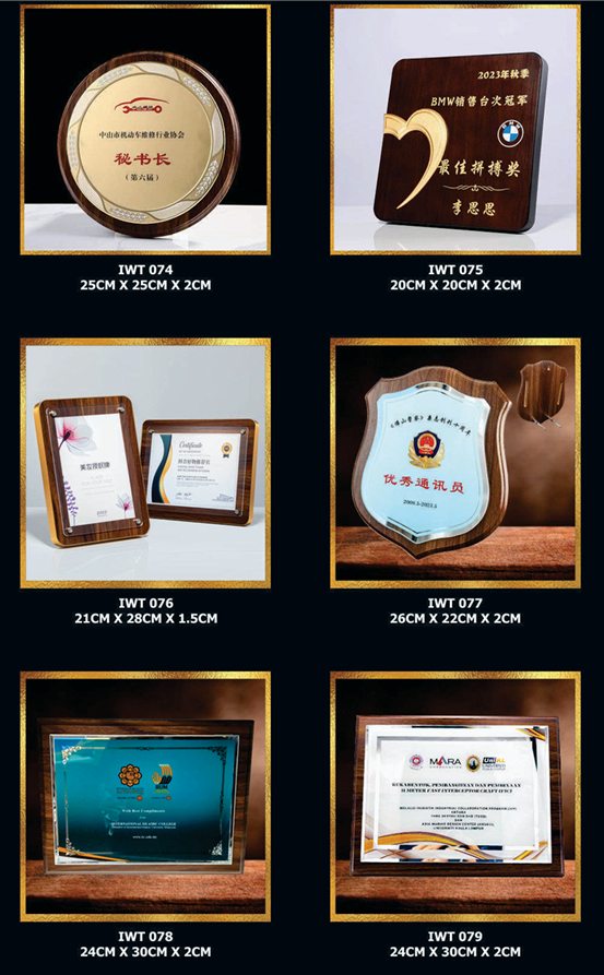 Exclusive Crystal Wooden Award 13