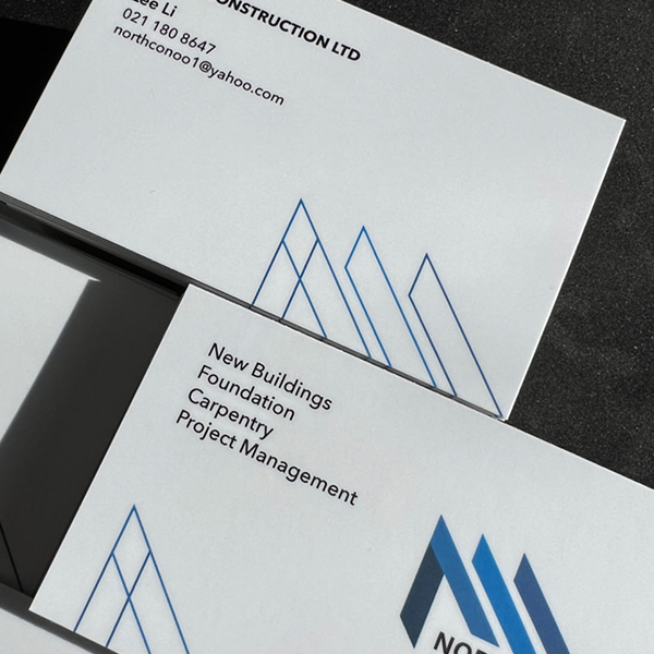 Business Card Double Sided Print