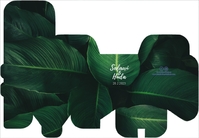 Geometric box - Tropical 3