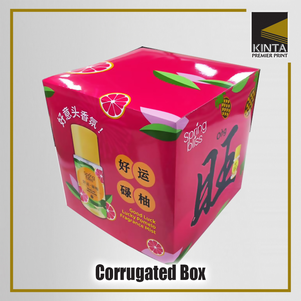Corrugated or Artcard Display Box (Plain) 3