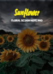 PNP031 - Sunflower