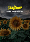 PNP031 - Sunflower