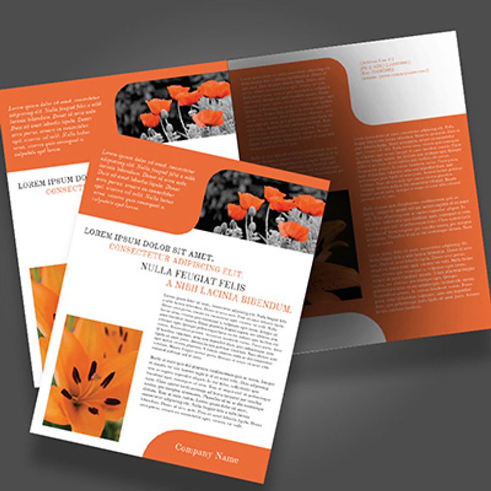 Flyers
