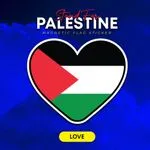 Palestine Flag Car Magnet Sticker 3