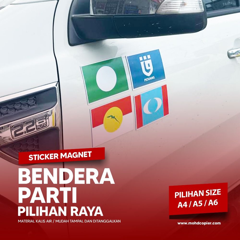 Magnetic Political Party Flag / Logo 1