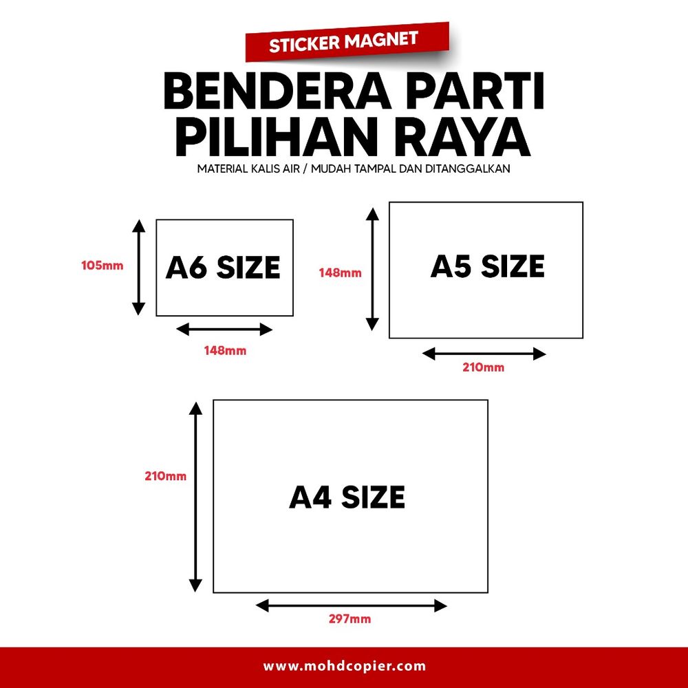 Magnetic Political Party Flag / Logo 3