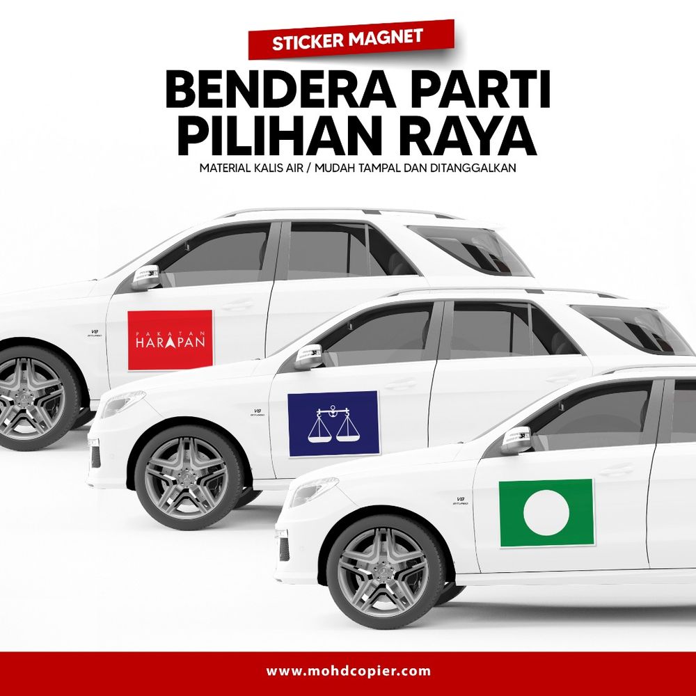 Magnetic Political Party Flag / Logo 4