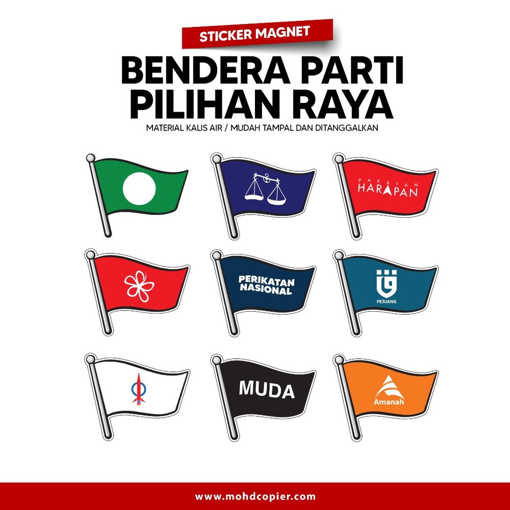 Magnetic Political Party Flag / Logo 6
