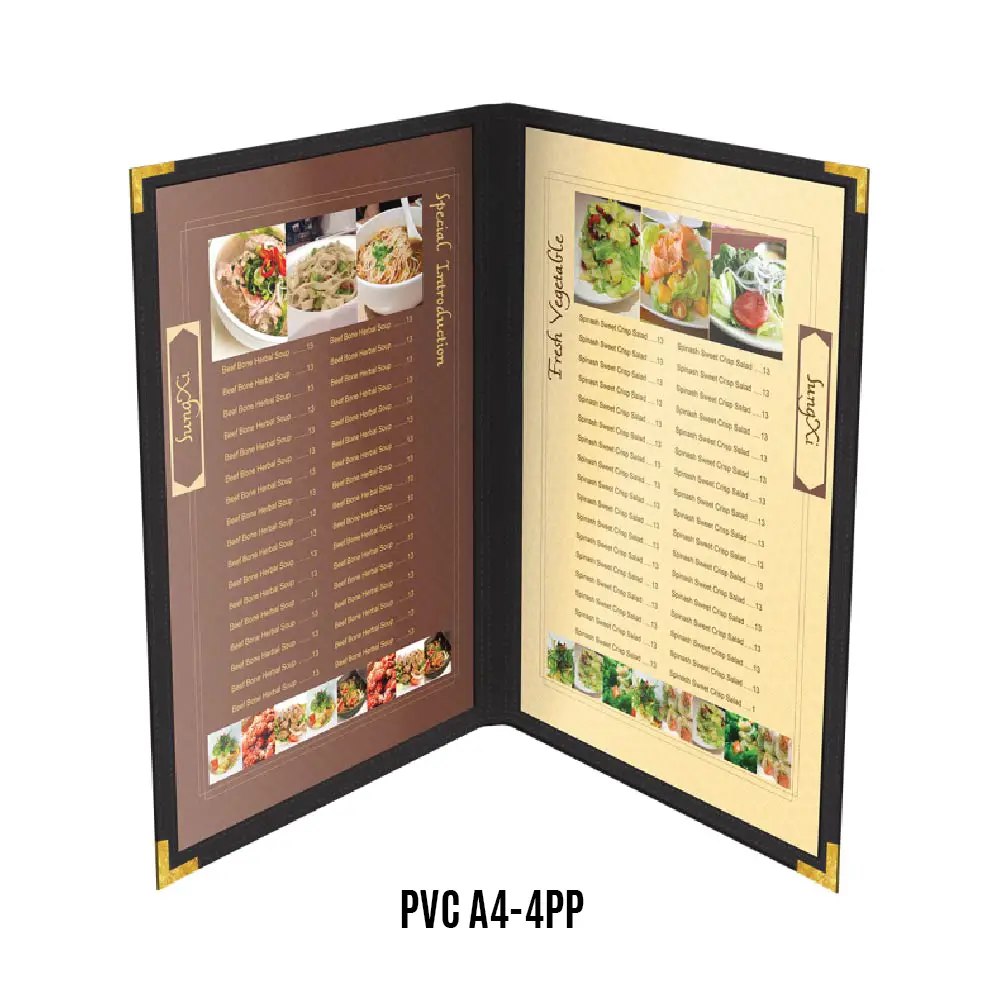 PVC A4-4PP