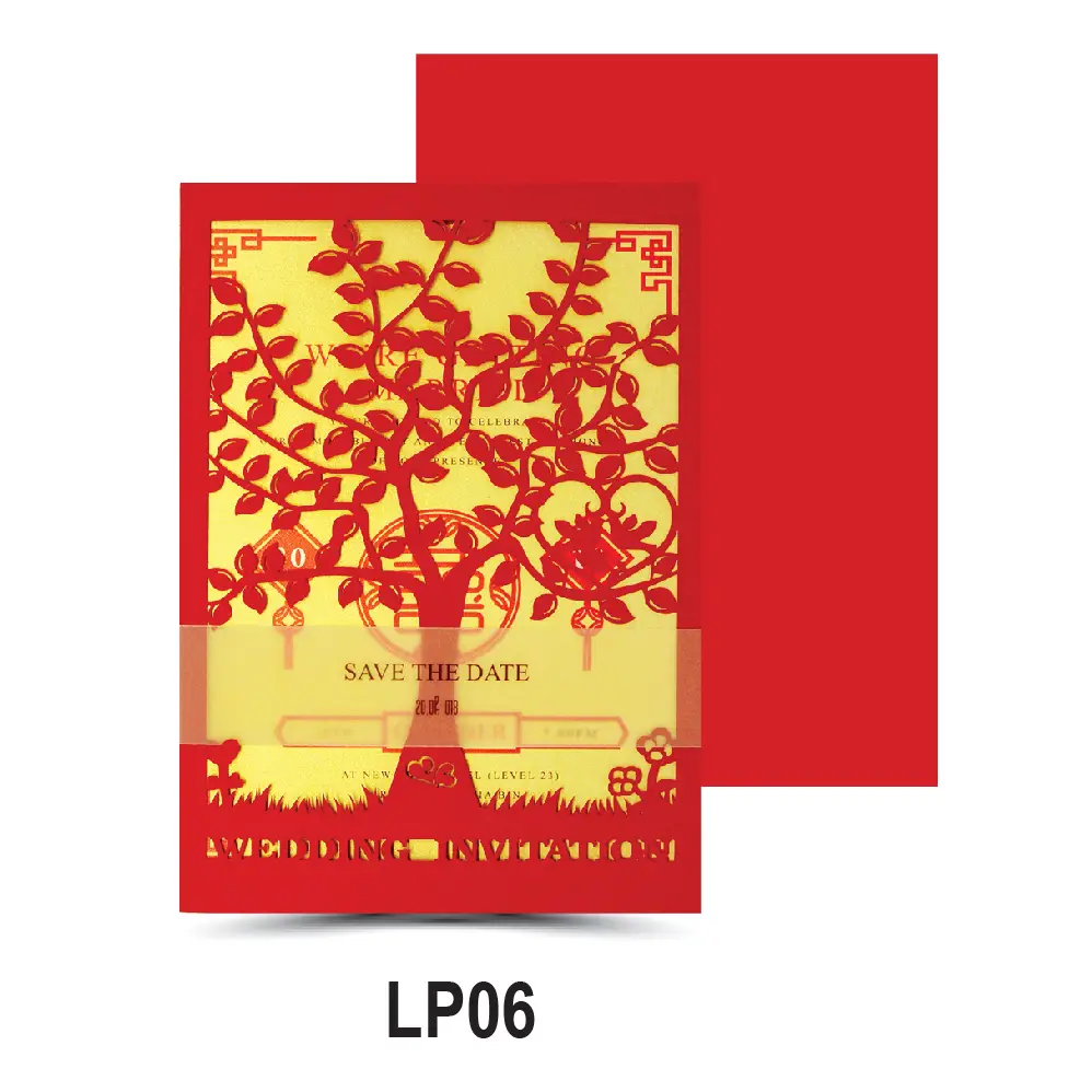 LP06