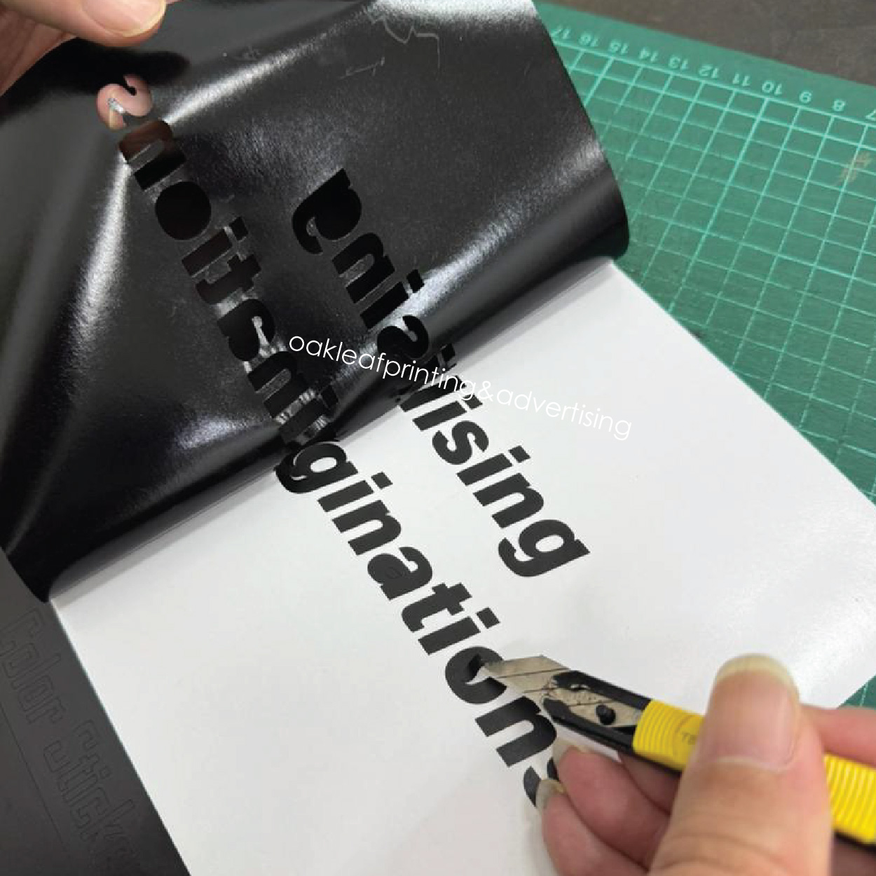 Colour Sticker die cut 3