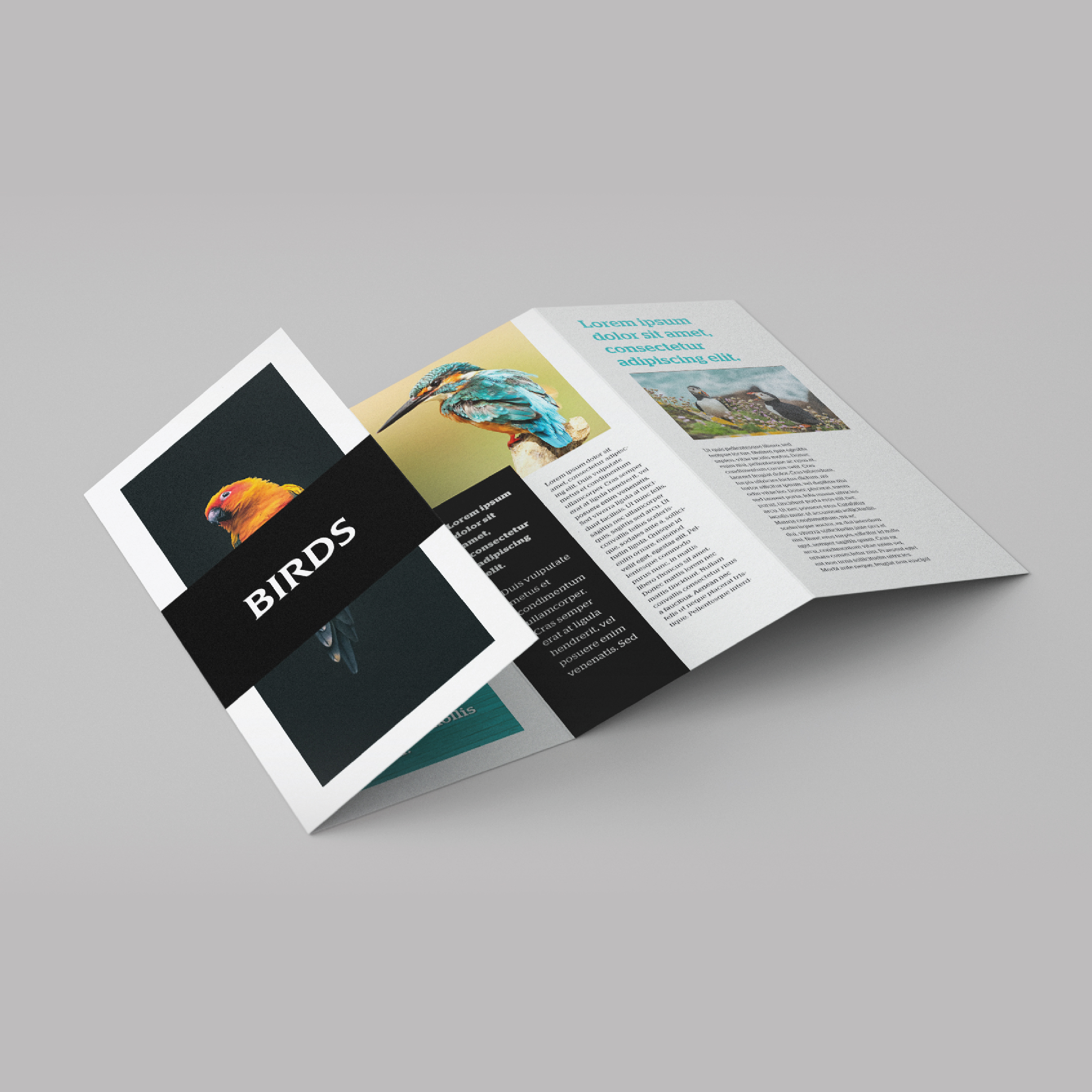 Print One Products - OnePrintStation Dot My Plt