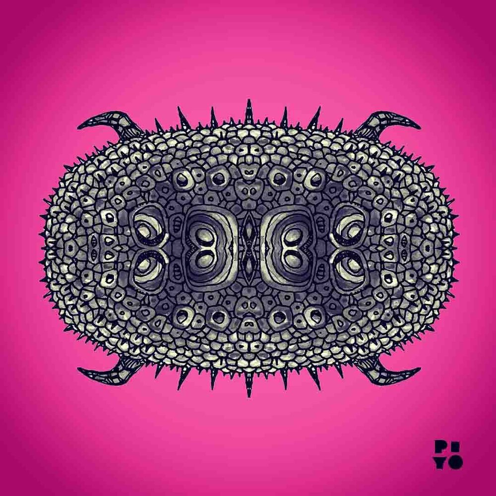 Imaginasaurus