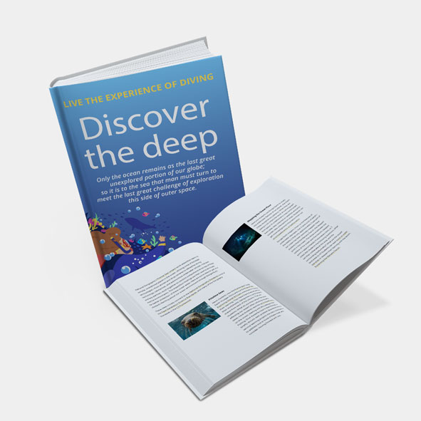 Book On Demand (Qty < 500)