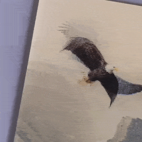 Lenticular Print