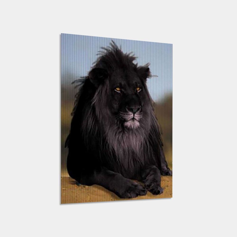 Lenticular Print (Poster) 5