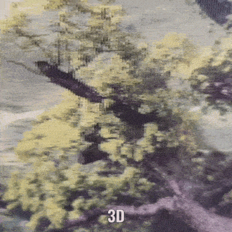 Lenticular Print 3