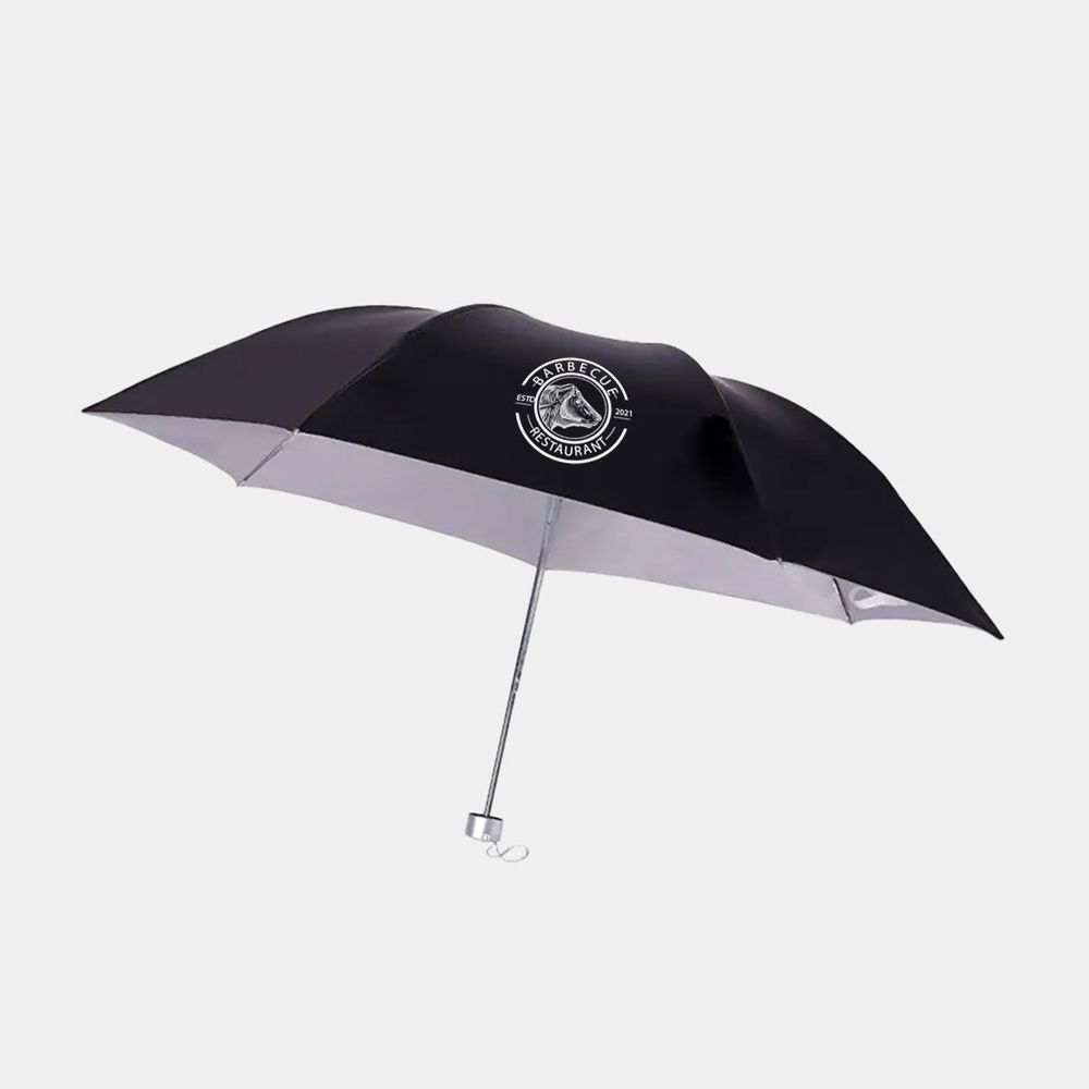 Folding Umbrella 1